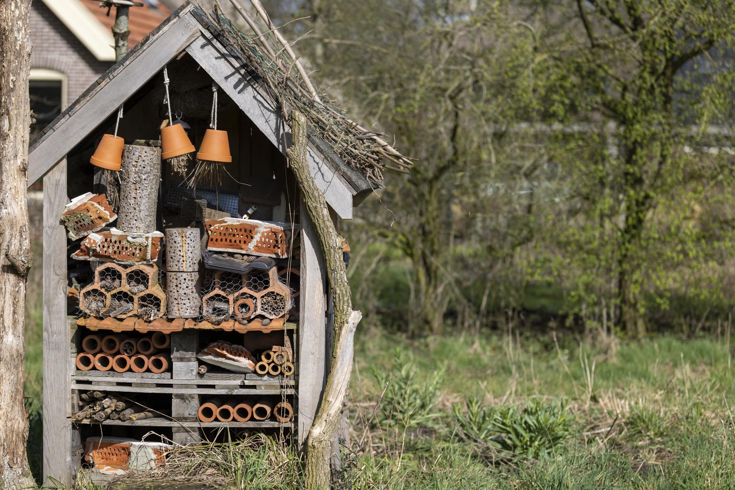 Maak Je Eigen Insectenhotel Natuurstichting Noordlake